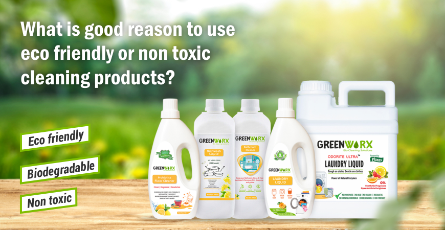Top Reasons to Choose Non-Toxic Household Products, Blog